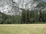 Yosemite National Park 1