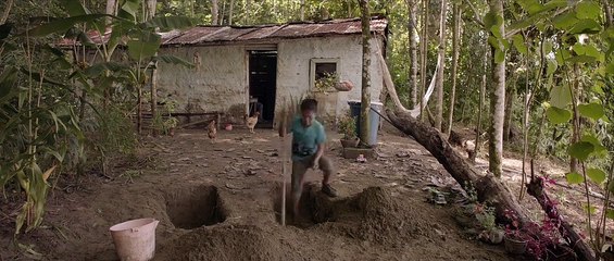 Trailer :: Tierra mojada