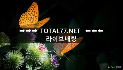 안전메이저공원◀▒▒ TOTAL77.NＥT ▒▒▶사설안전공원 라이브배팅사이트