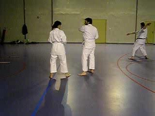 Yawara-etudemouvement