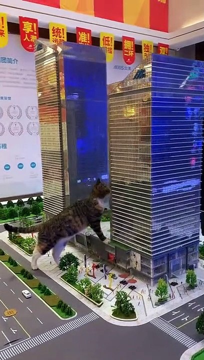 All the buildings are mine.