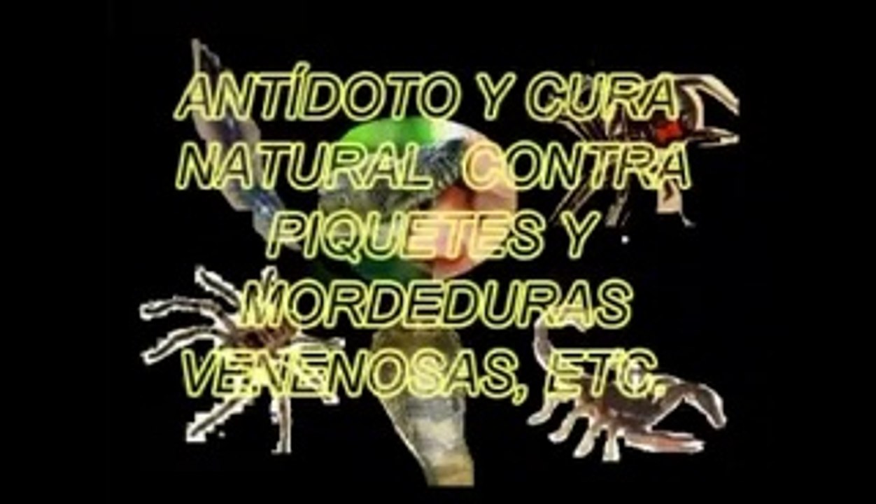 ANTÍDOTO Y CURA NATURAL PARA PIQUETES VENENOSOS