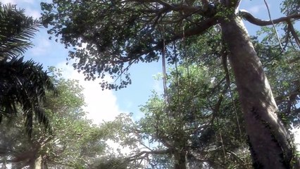 Jurassic World: Camp Cretaceous | New Animated Series | Netflix