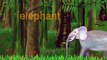 elephant & egg- lower case alphabet 