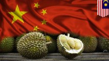 Malaysia is cashing in on Chinese durian craze