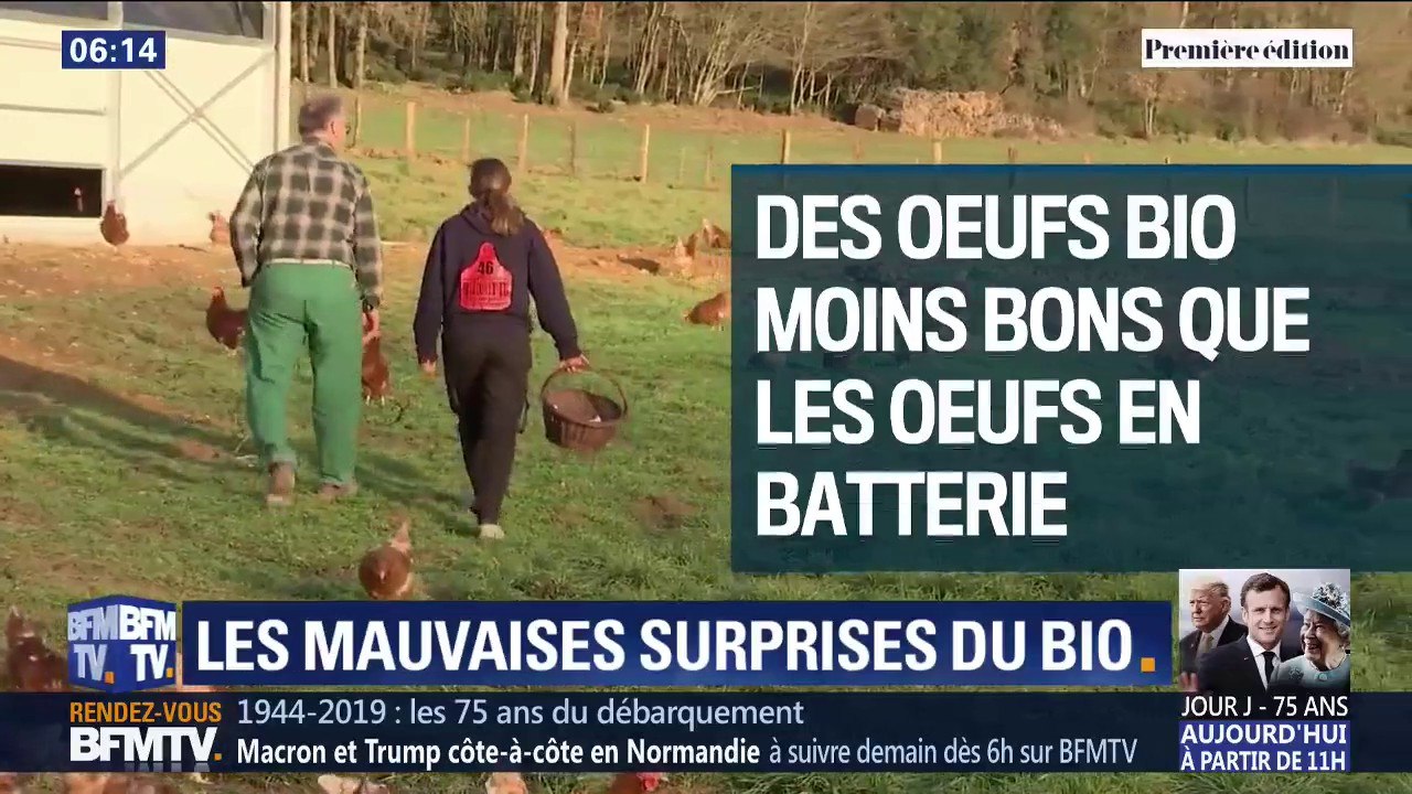 Oeufs, pâtisseries... Les mauvaises surprises de certains produits bio,  parfois moins bons pour la santé