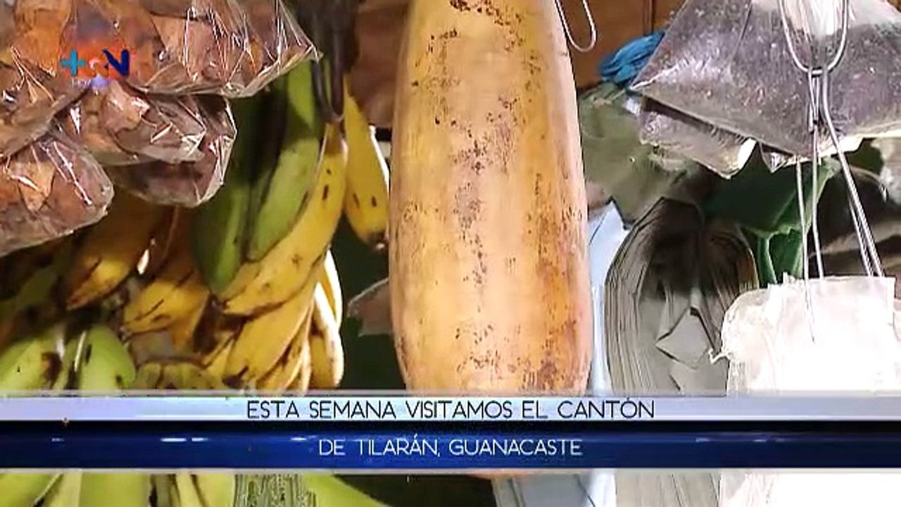 +QN 4 de junio 2019
