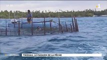 A la découverte des parcs à poissons de Tikehau