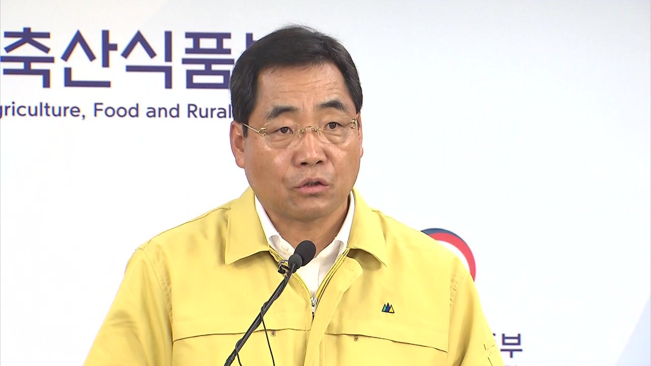 접경지역 돼지 혈청검사 음성...1차 방역 방어선 구축 완료 / YTN