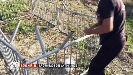 Les caméras de France 2 filment des anti-viande libérer des volailles dans un abattoir en pleine nuit - Vidéo