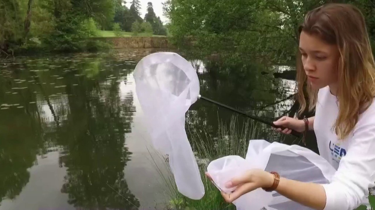 Emploi - L’avenir est aux emplois verts !