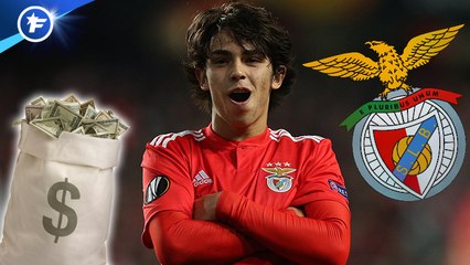 Matthijs de Ligt a cinq propositions, le Benfica a reçu trois offres à 120 M€ pour João Félix