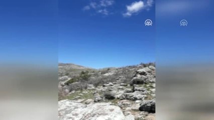 Telsiz komutalı patlayıcı düzeneği bulundu