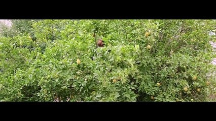 It Must Be Heaven (2019) - Excerpt 4 (French Subs)