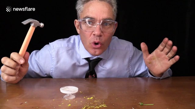 Aussie scientist uses tiny equipment and liquid nitrogen to create amazing experiments