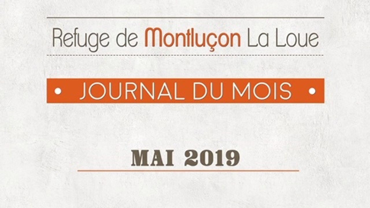 Un mois au refuge SPA de Montluçon : mai 2019