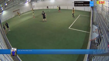 But de Hamilton  (4-0) - FC POKEMON  Vs LES MAISONS TRADITIONS  - 04/06/19 21:00 - LIGUE 3