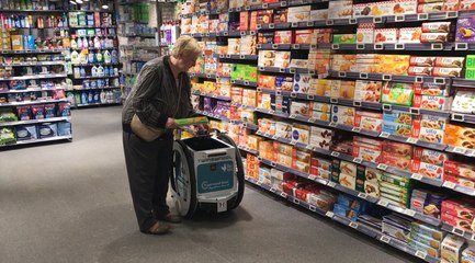 TwinswHeel, le robot pour livrer ses courses