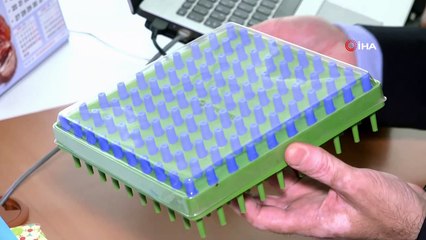 Su yılanları yakın takipte