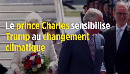 Le prince Charles sensibilise Donald Trump au changement climatique