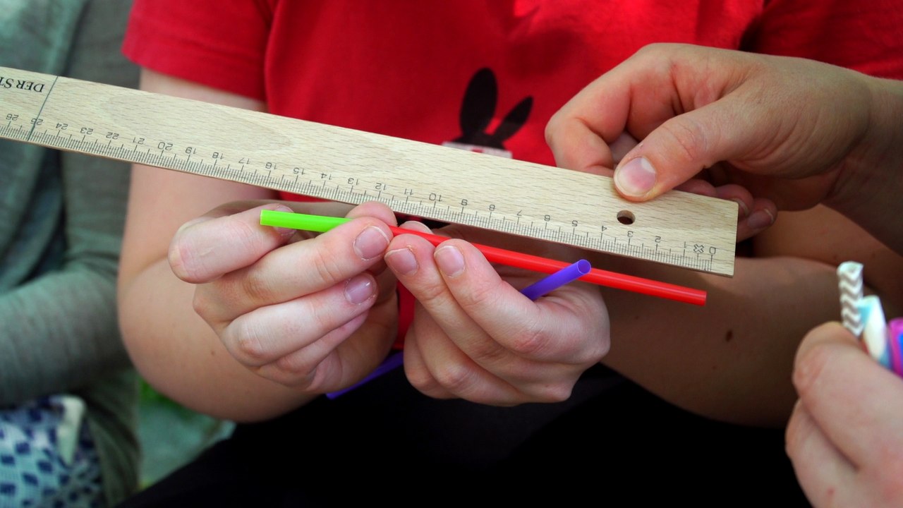 Umfrage zu Neuwahlen: 'Ich glaube Kurz, dass er keine andere Wahl hatte.'