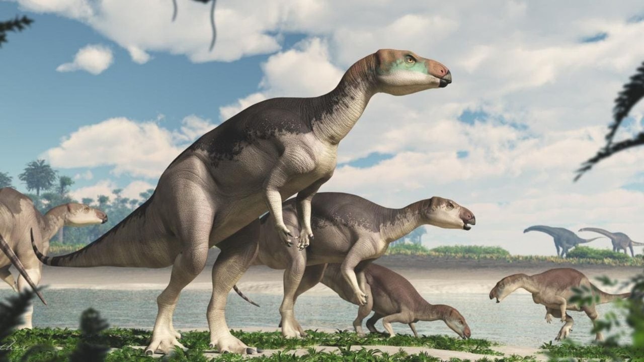 Hallan manada de dinosaurios