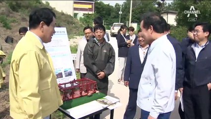 돼지열병에 정부도 비상…“야생 멧돼지 남하 막아라”