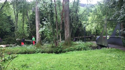 Dégâts au parc de Nismes (Viroinval) suite à la tempête du 4 juin 2019