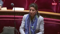 Urgences : Buzyn prise à parti au Sénat pour ses propos tenus sur France Inter