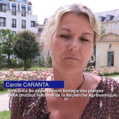 Déjeuner de Frédérique Vidal avec des chercheuses