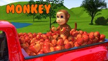 Dynamic Boy And Good Friends Have Fun - Baby Boong W Education Nursery Rhymes For Children