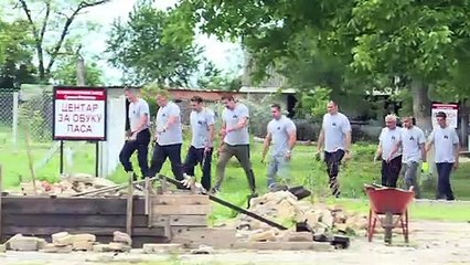 Serbian prisoners and pups give each other a new lease on life
