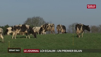 Loi Egalim : un premier bilan