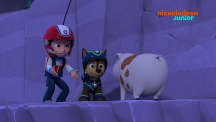 Paw Patrol : la Pat'Patrouille | Cache-cache Cochon | NICKELODEON JUNIOR