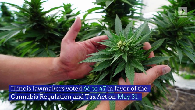 Illinois to Legalize Recreational Marijuana