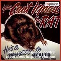 Eradication des rats à Paris: mission impossible pour Anne Hidalgo ?