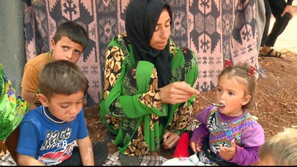 Syria's war: Displaced and hungry in Idlib makeshift camp