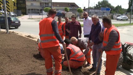 Mbillen edhe 2000 lule në Gjakovë-Lajme