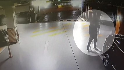 무등록 렌터카 업체 운영...GPS로 절도까지 / YTN