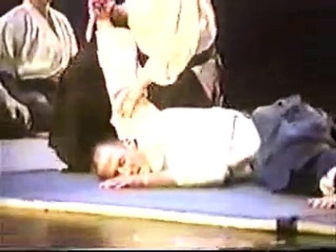 Martial Arts - Aikido - PatHen