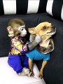 Belle amitié entre un singe et un chien... Tellement drole