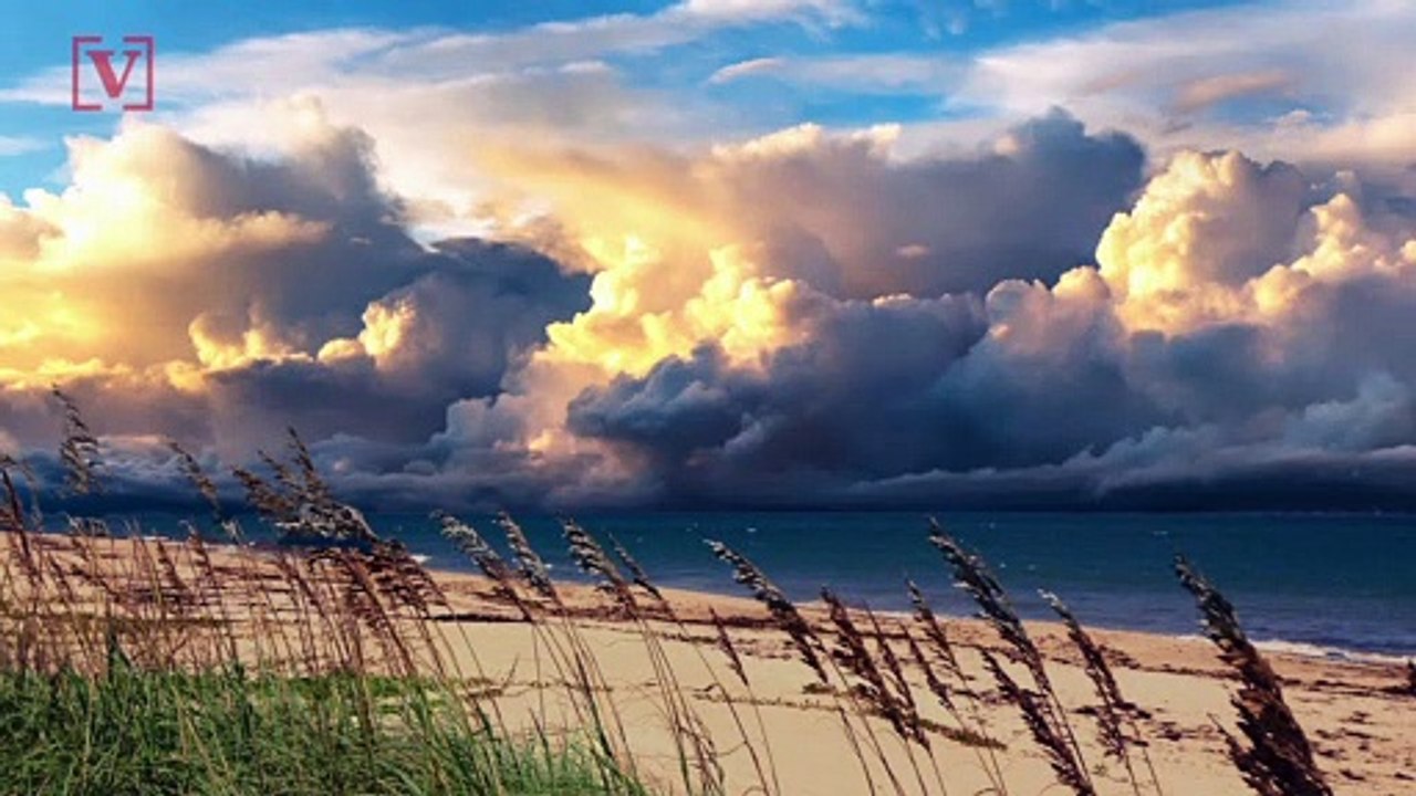 Walmart to Launch Grocery Delivery Service ...Even When You’re Not Home!