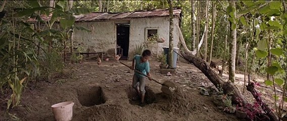 Trailer :: Tierra mojada