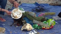 Italian fishermen fight to rid the sea of plastic waste