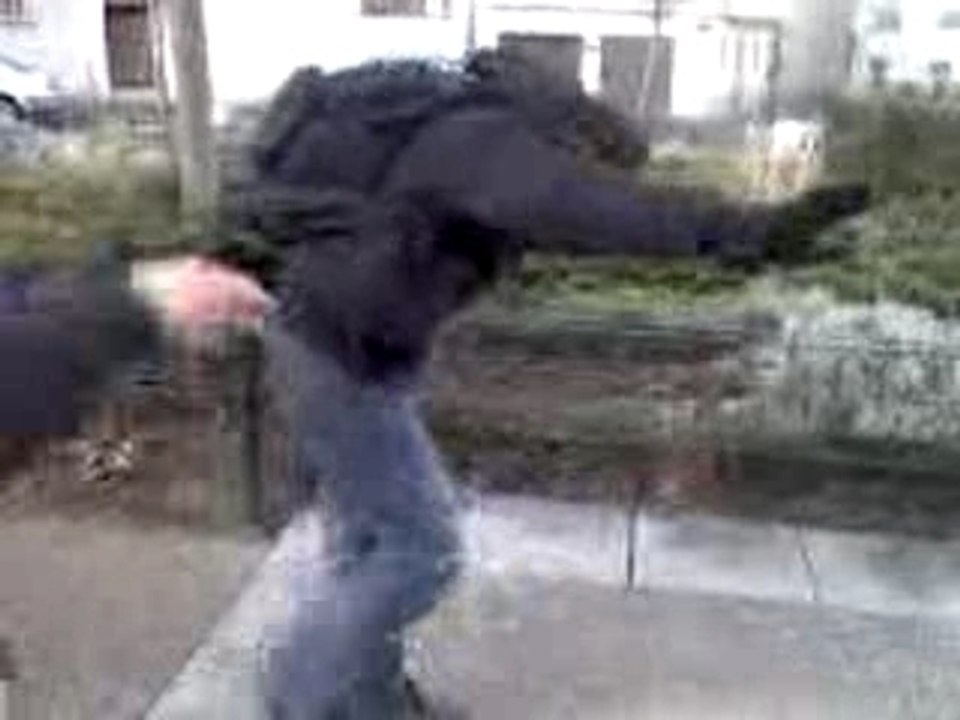la cité danse