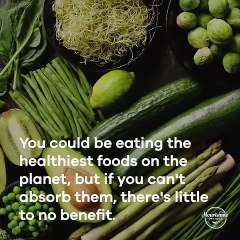 4 Ways Poor Gut Health Damages Your Health by Nourishme Organics