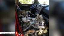 This Is What A Car Looked Like After A Bear Got Trapped Inside