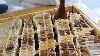Honey Ice Cream Fish-Shaped Waffle