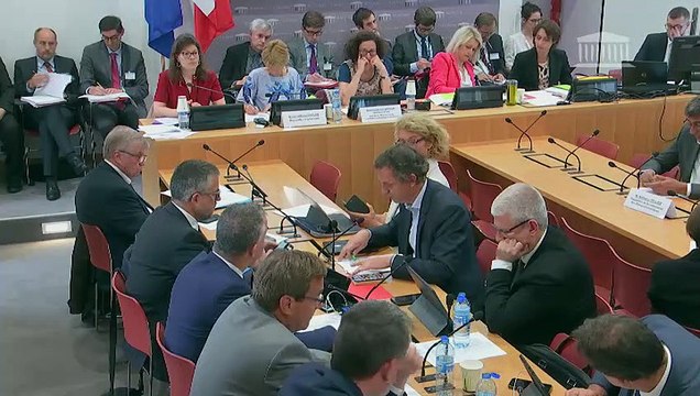 Commission du développement durable : Projet de loi relatif à l’énergie et au climat - Mercredi 5 juin 2019