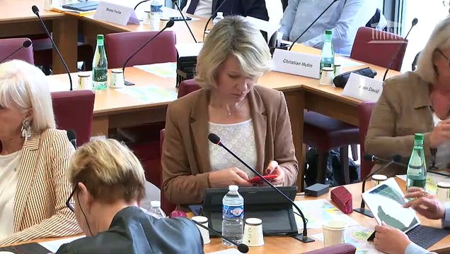 Commission des affaires étrangères : Compte rendu de la mission dans les territoires palestiniens - Mercredi 5 juin 2019